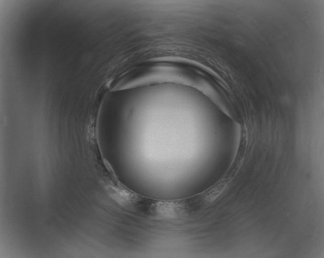 X0000075340766200609081123