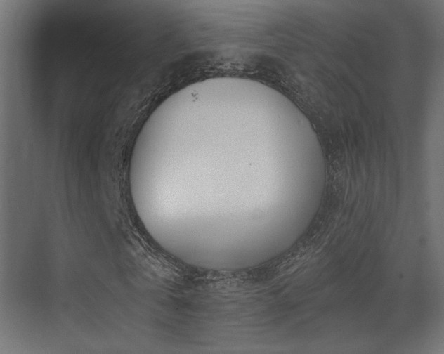 X0000075340769200609081123