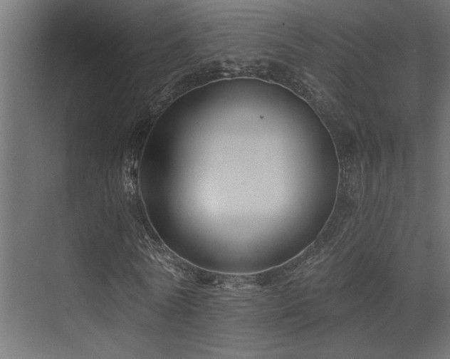 X0000075340770200609081123