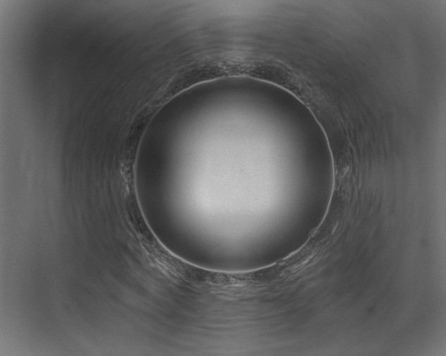 X0000075340772200609081122