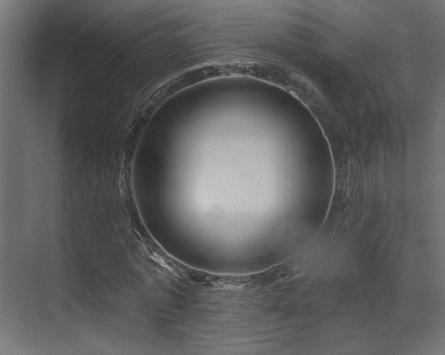 X0000075340773200609081122