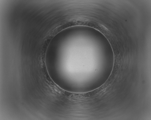 X0000075340774200609081122