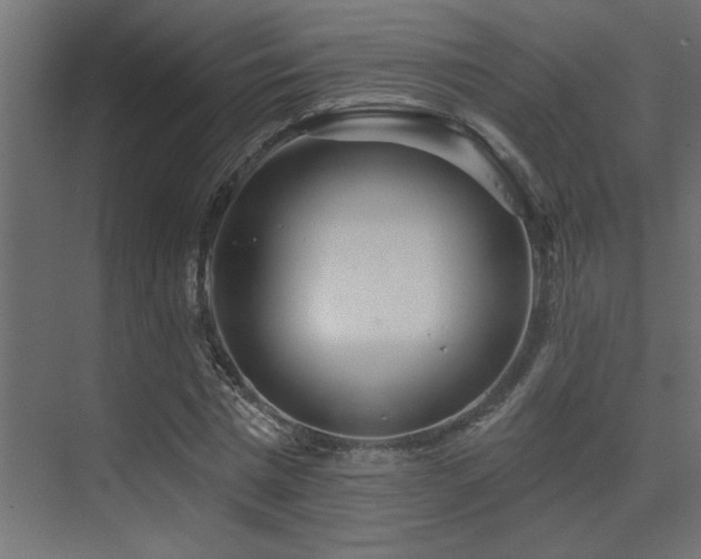 X0000075340777200609081122