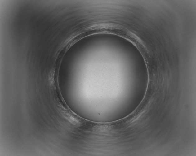 X0000075340778200609081122