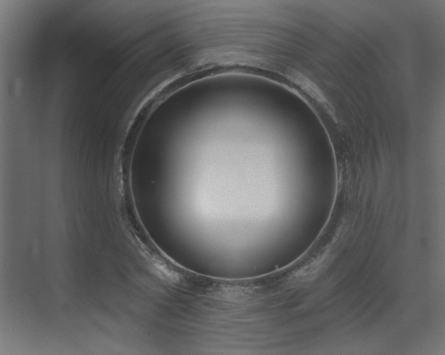 X0000075340782200609081122