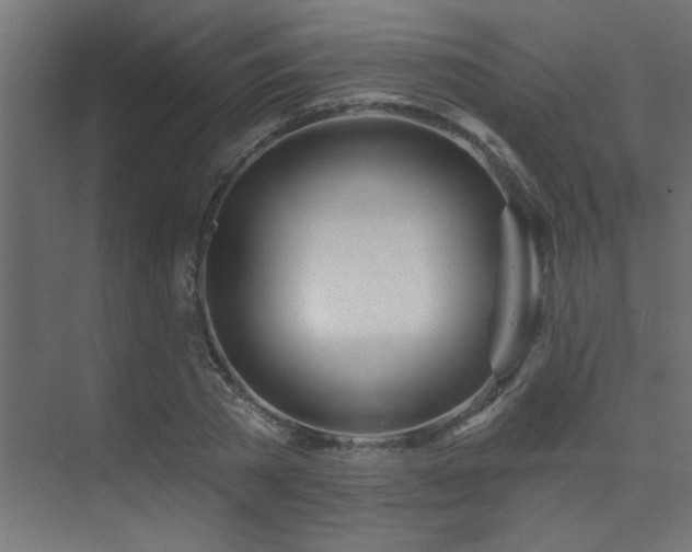 X0000075340785200609081122