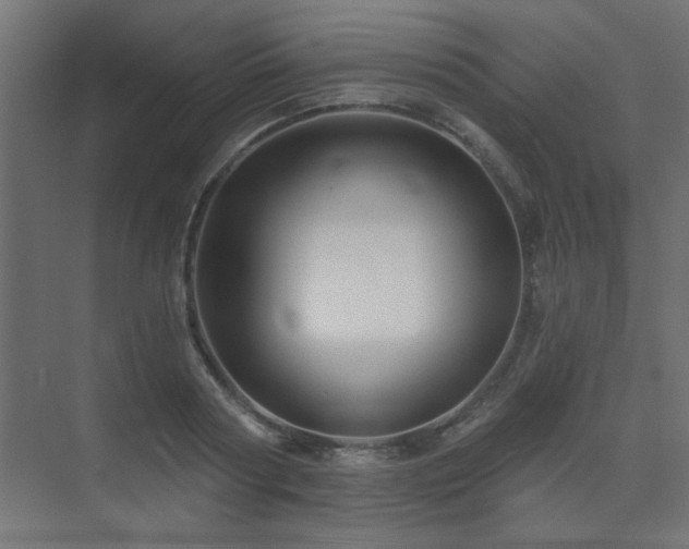 X0000075340794200609081122