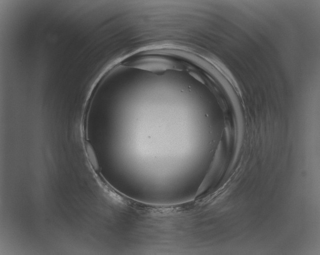 X0000075340813200609081122