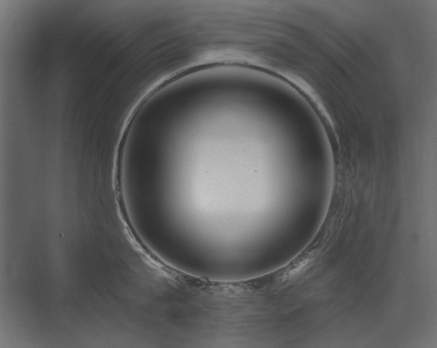 X0000075340815200609081122