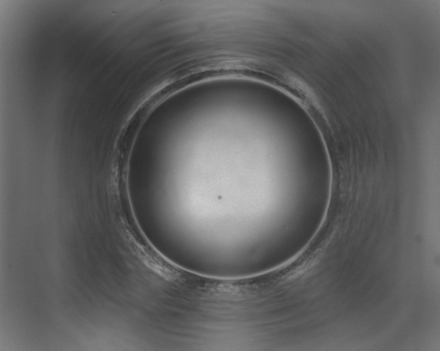 X0000075340827200609081121