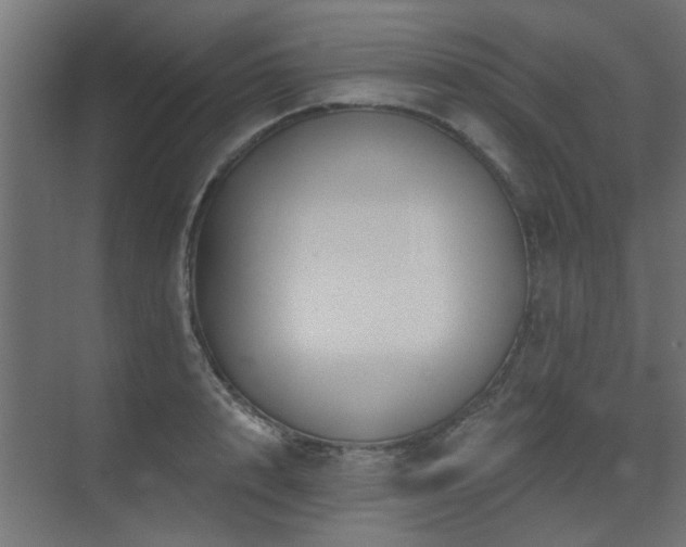 X0000075340848200609081121