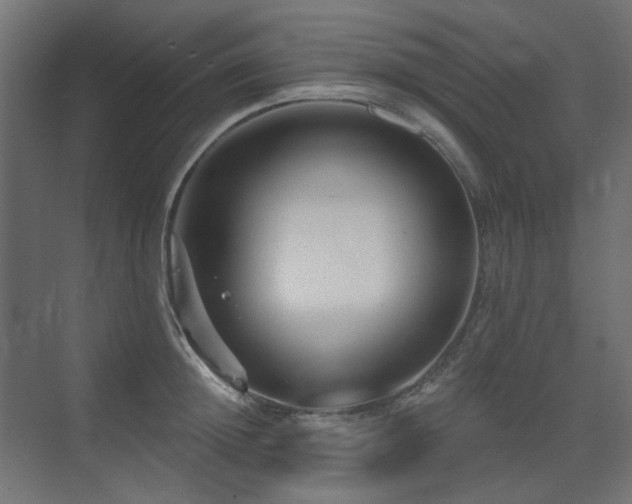 X0000075340852200609081122