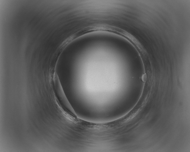 X0000075340857200609081122