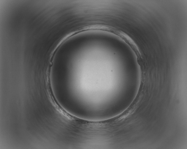 X0000075340860200609081122