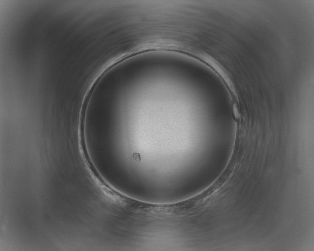 X0000075340861200609081122