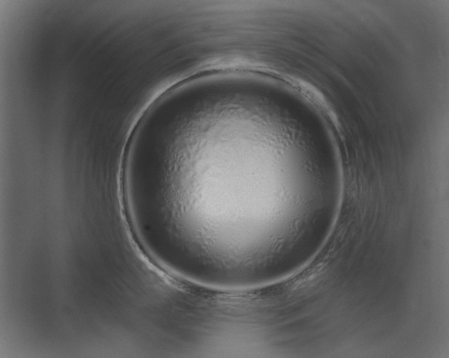 X0000075340863200609081122