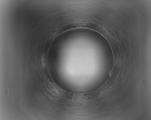 X0000075340866200609081121