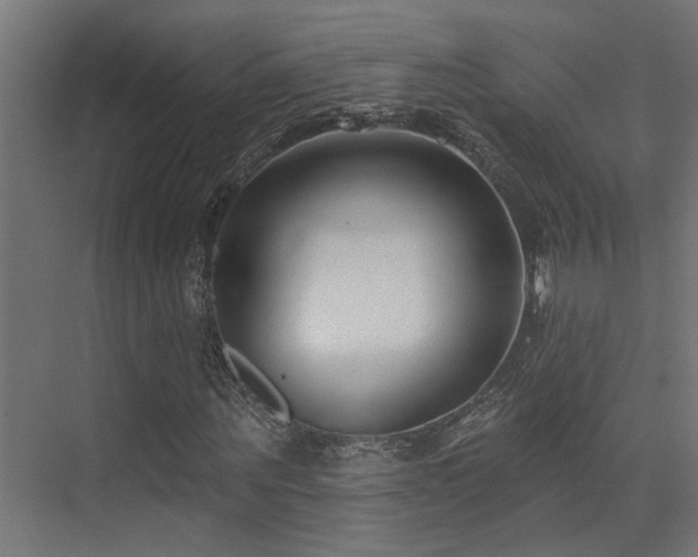 X0000075340867200609081121