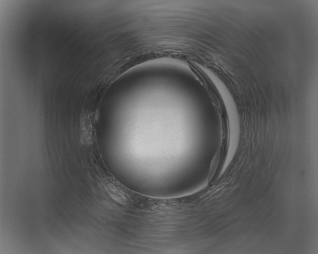 X0000075340868200609081121