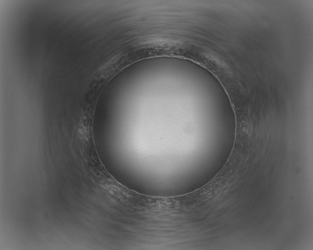 X0000075340869200609081121
