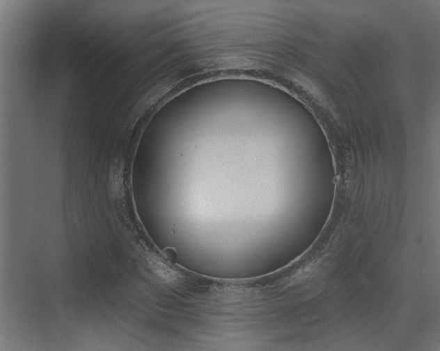 X0000075340873200609081121