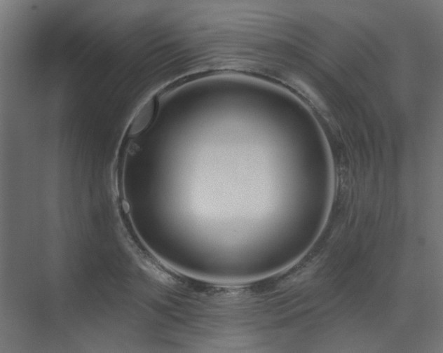 X0000075340891200609081120
