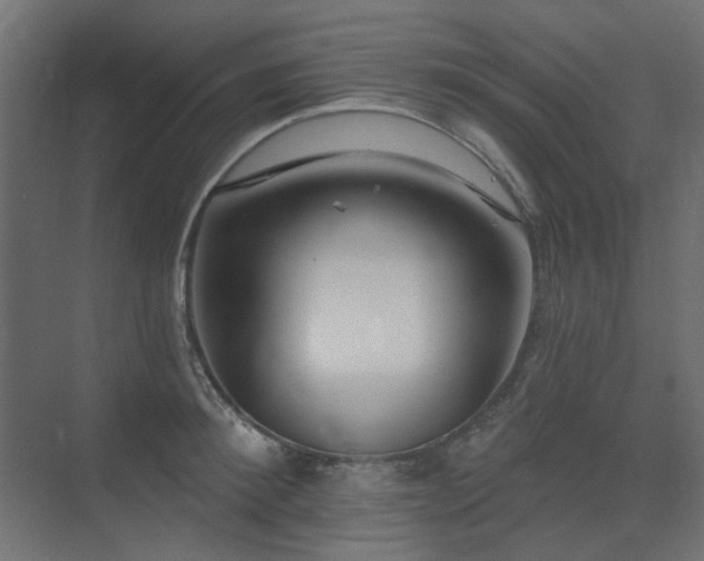 X0000075340900200609081120