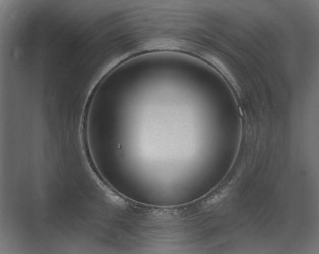 X0000075340901200609081120