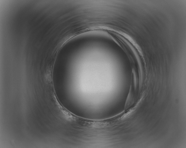 X0000075340905200609081120
