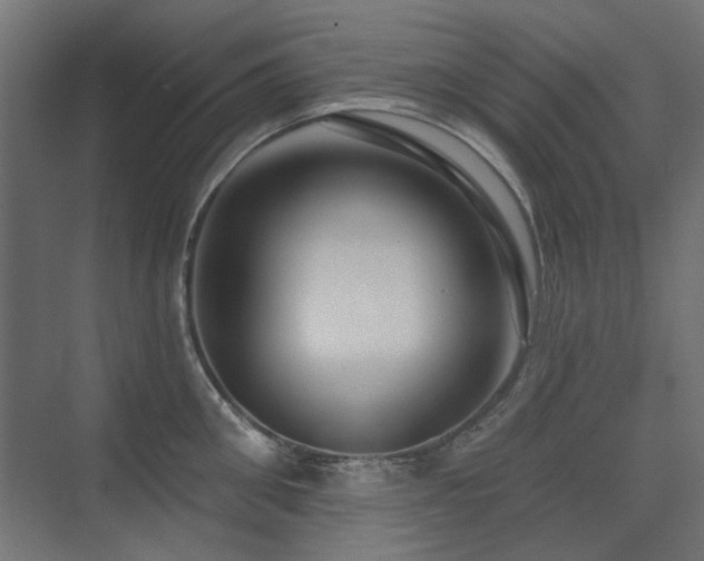 X0000075340906200609081120