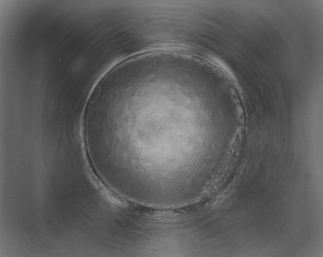 X0000075340907200609081120