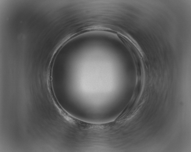 X0000075340909200609081120
