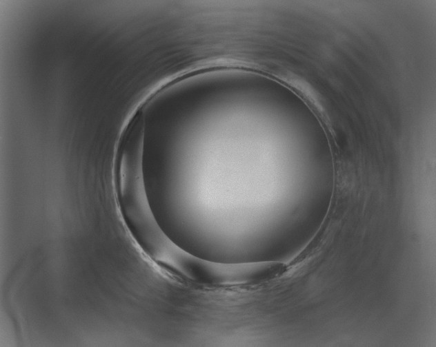 X0000075340910200609081120