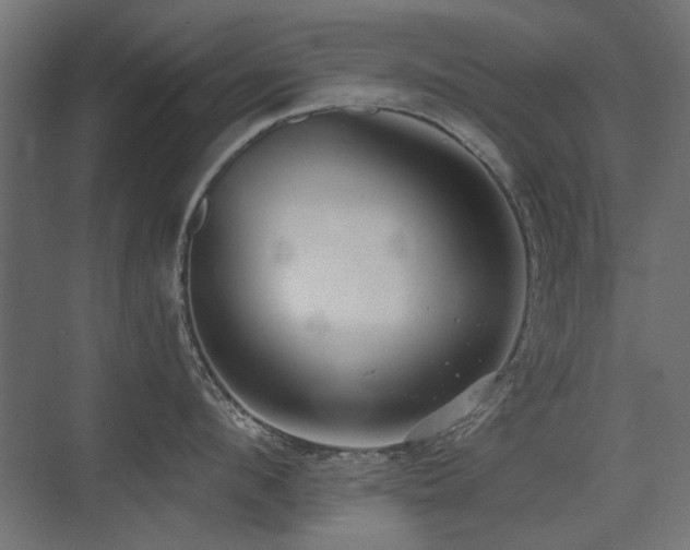 X0000075340912200609081120