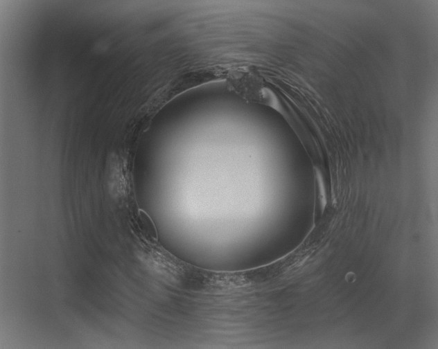 X0000075340915200609081119