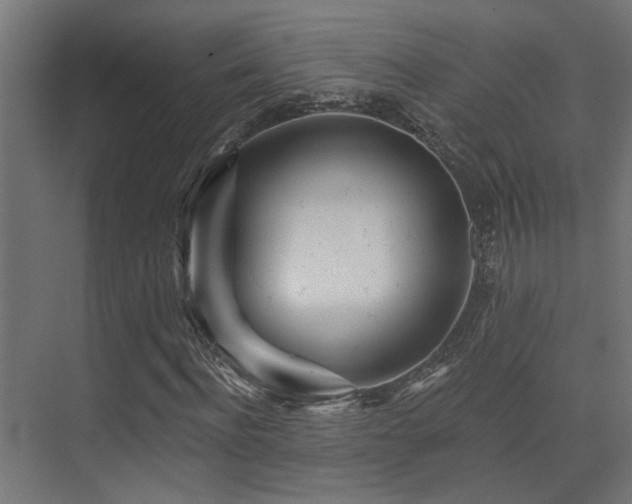 X0000075340916200609081119