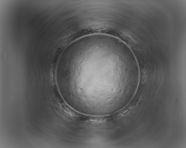 X0000075340917200609081119