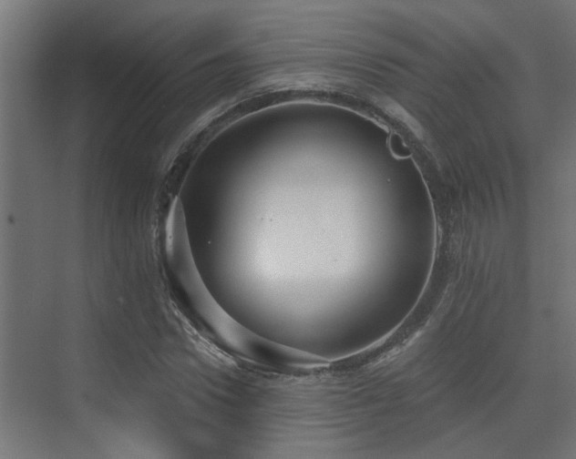 X0000075340922200609081119