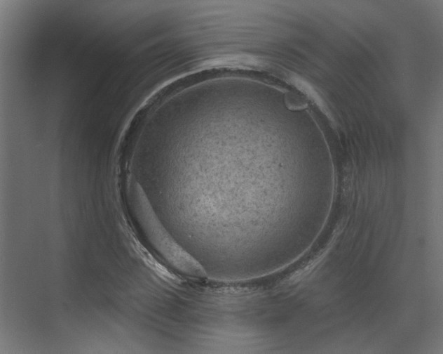 X0000075340923200609081119