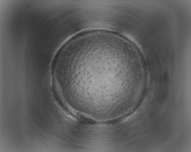 X0000075340925200609081119