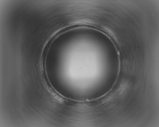 X0000075340931200609081120