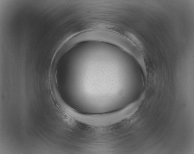 X0000075340948200609081120