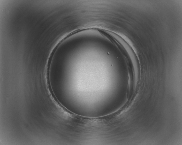 X0000075340949200609081120