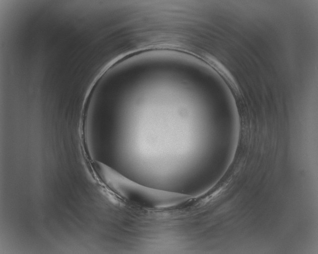 X0000075340956200609081120