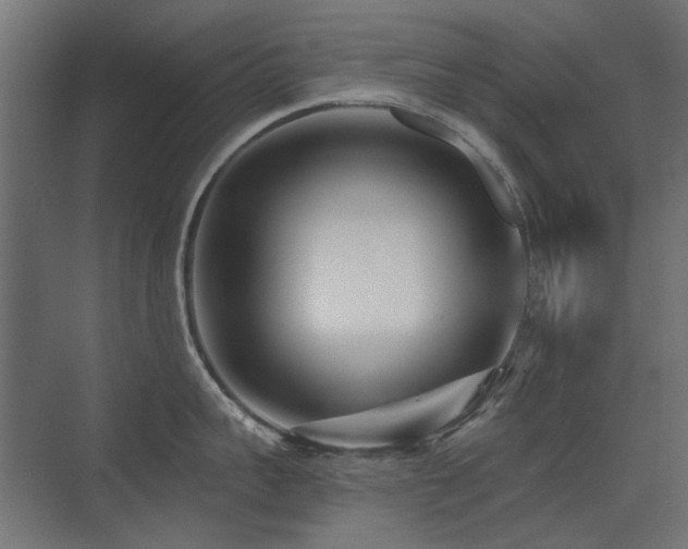 X0000075340959200609081120