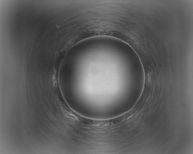 X0000075340963200609081119