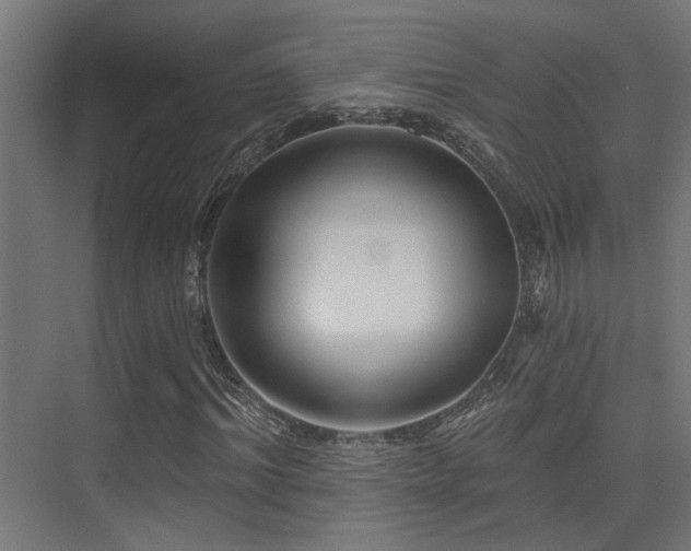 X0000075340964200609081119