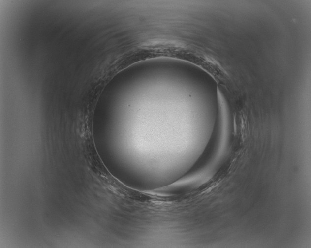 X0000075340965200609081119