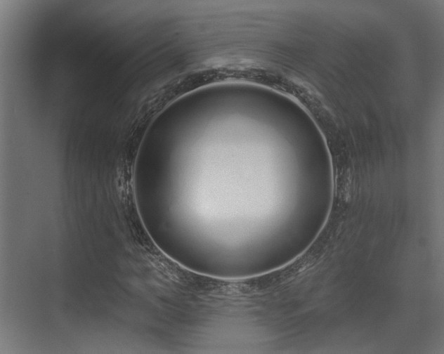 X0000075340966200609081119