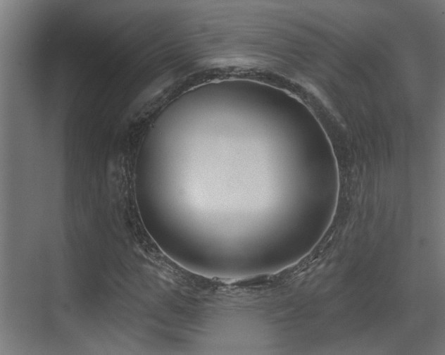 X0000075340967200609081119